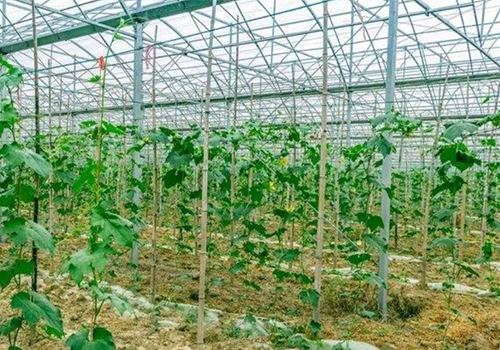 助力实现“双碳”，中国空气能领军品牌九州酷游空气能鼓励采用清洁能源供热！