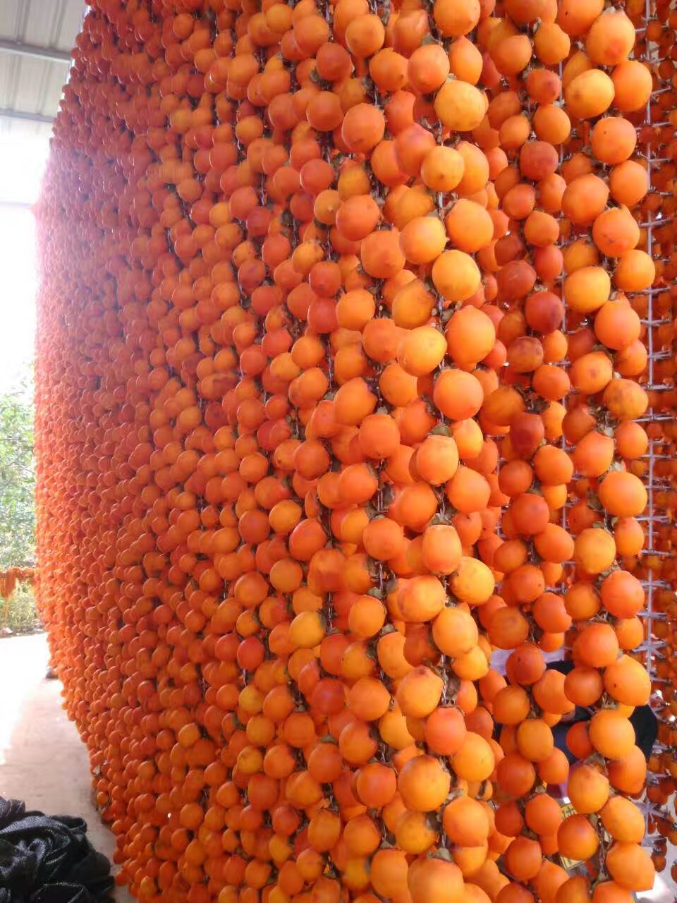 微信图片_20171117164817.jpg 微信图片_20171117164817.jpg