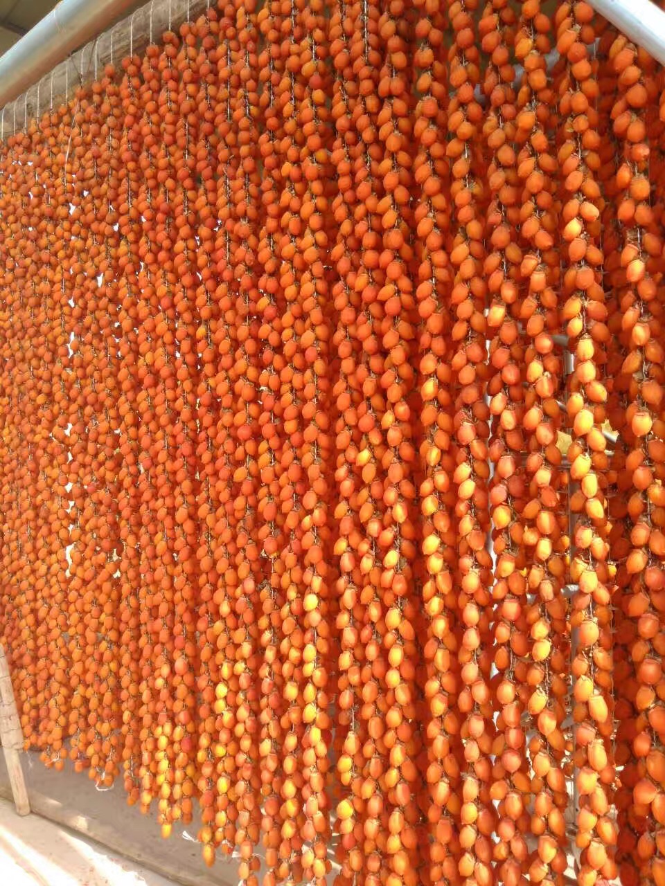 微信图片_20171117164824.jpg 微信图片_20171117164824.jpg